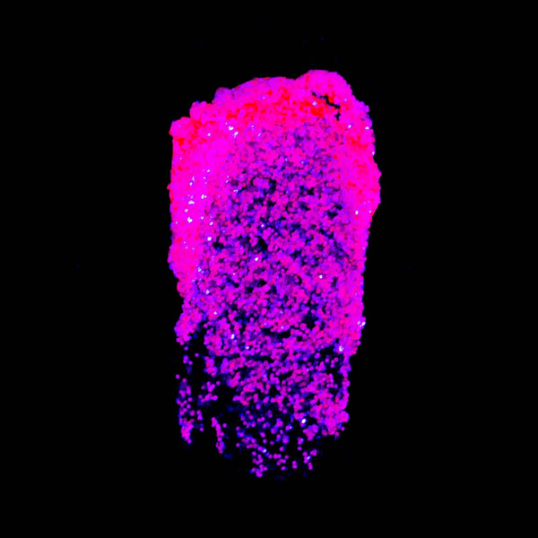 Lemonhead LA GlowJam Cosmic UV Glitter Balm