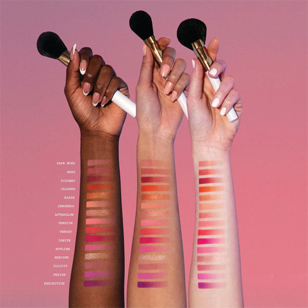 Blend Bunny Cosmetics Masterclass 15 Pan Pro Blush Palette