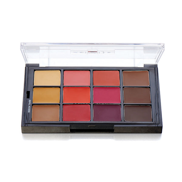 Ben Nye Studio Color Blush &amp; Contour Palettes