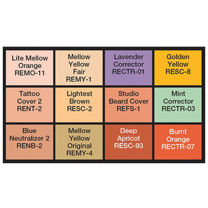 Ben Nye Studio Concealer & Adjuster Palette, STP-15