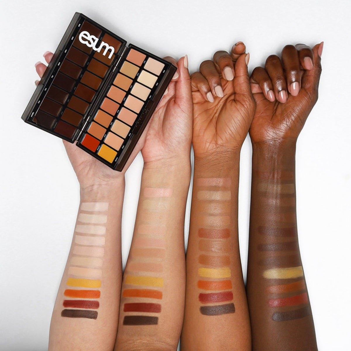 Esum Cosmetics The Perfect Finish Complexion Book