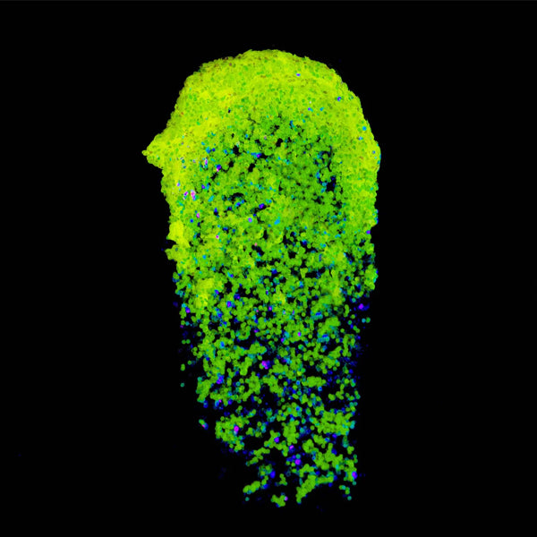 Lemonhead LA GlowJam Cosmic UV Glitter Balm