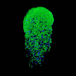 Lemonhead LA GlowJam Cosmic UV Glitter Balm