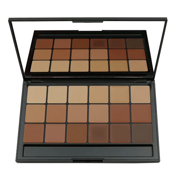 RCMA Makeup Color Process Foundation Palette VK 10