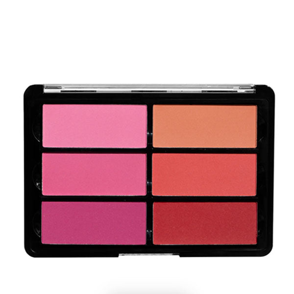 Viseart Blush Palettes