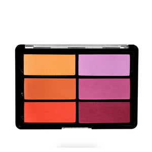 Viseart Blush Palettes