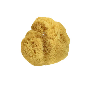 Alcone Company Natural Silk Sea Sponges