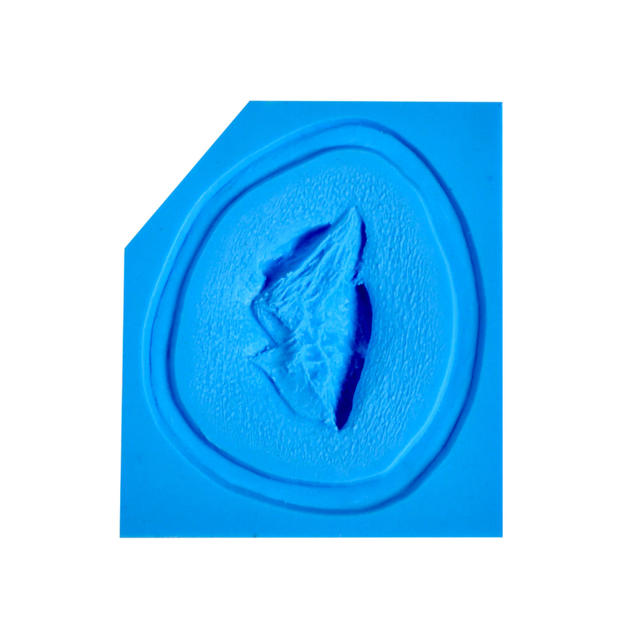 Prosthetic Transfer Material Avulsion Molds Medium