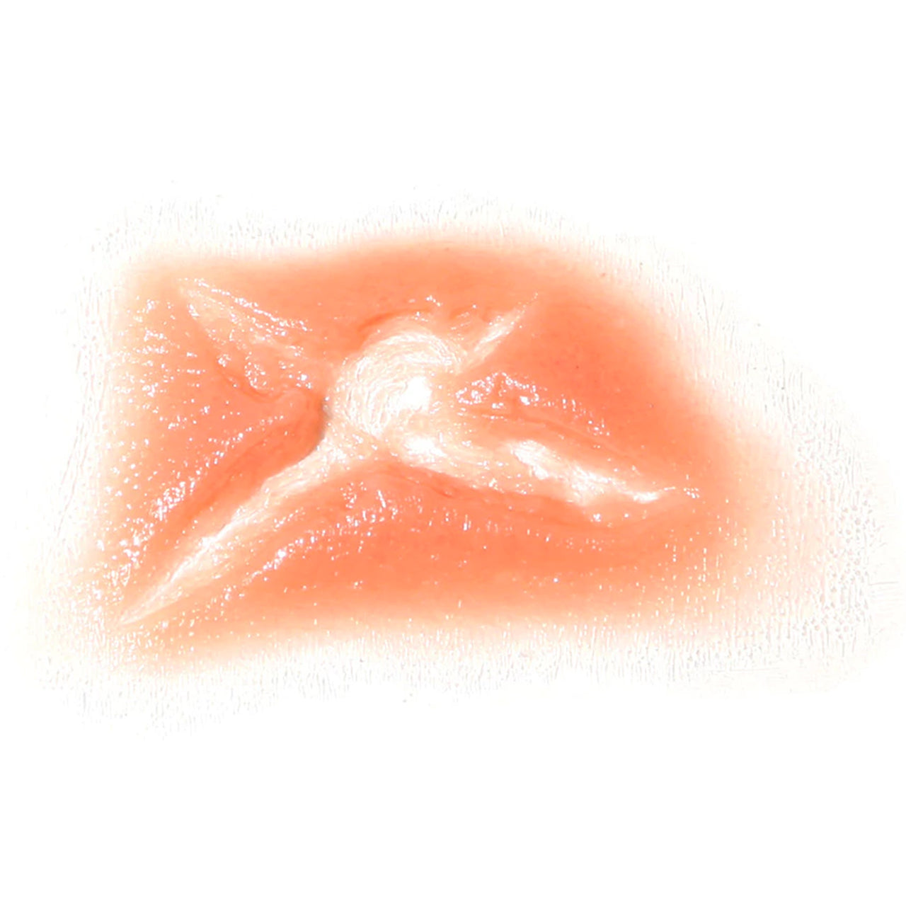 Prosthetic Transfer Material Bullet Hole Molds Exit 4 Point Starfish