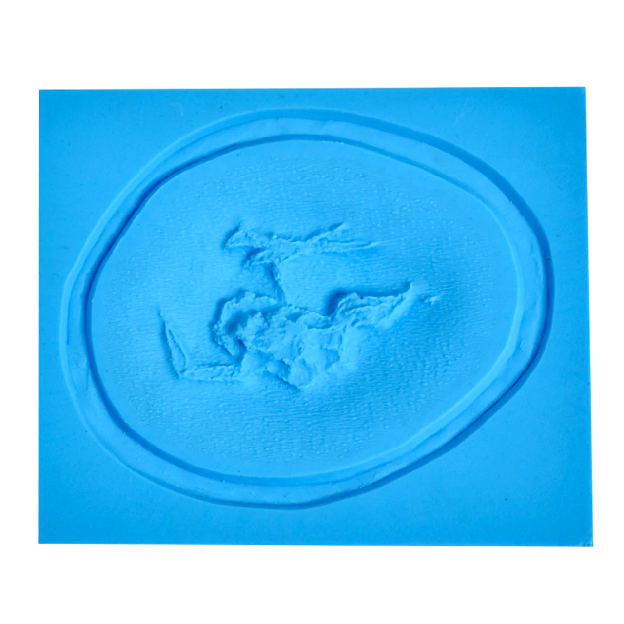 Prosthetic Transfer Material Bullet Hole Molds Exit Ruptured Pattern