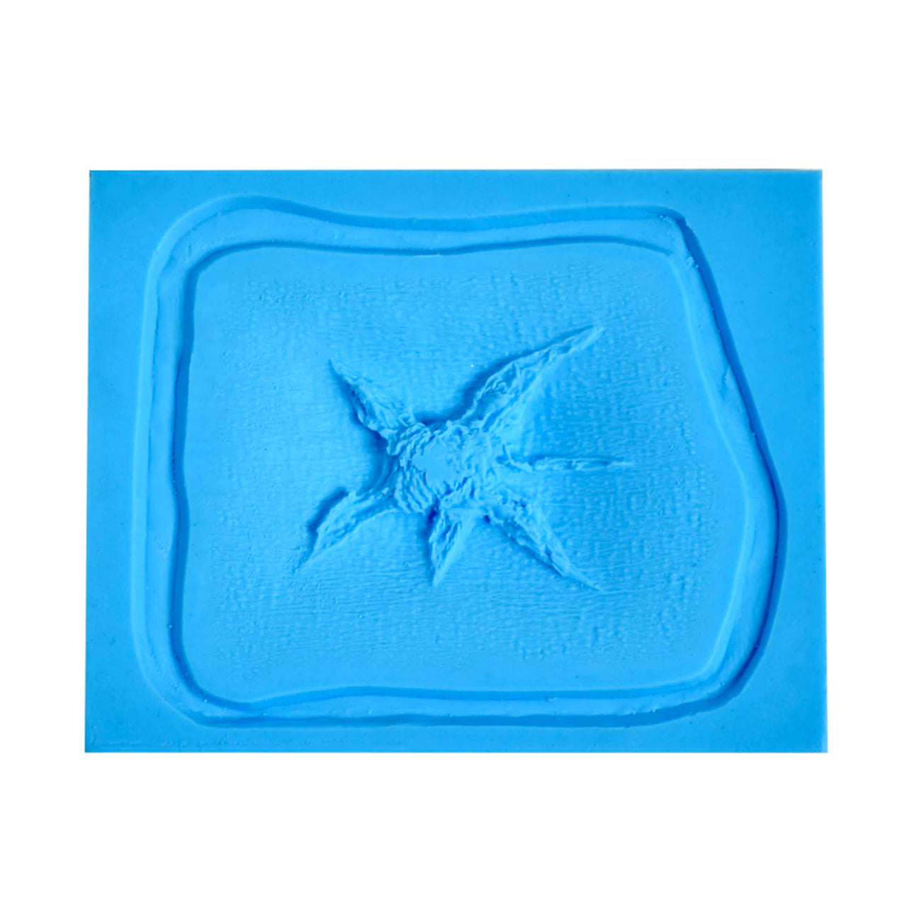 Prosthetic Transfer Material Bullet Hole Molds Exit 6 Point Starfish