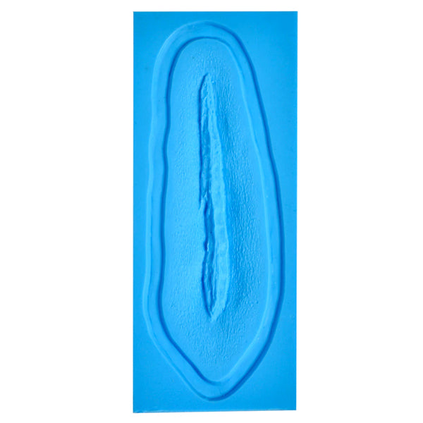 Prosthetic Transfer Material Laceration Molds 6&#39;&#39;