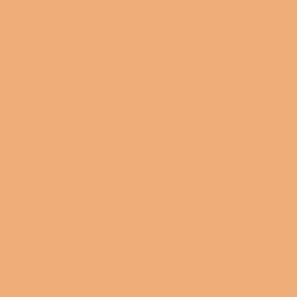 RCMA Makeup Counter Shading Colors