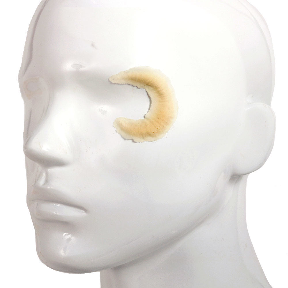 Rubber Wear Foam Latex Prosthetic Crescent Scar